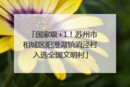 国家级+1！苏州市相城区阳澄湖镇消泾村入选全国文明村