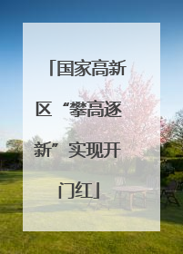 国家高新区“攀高逐新”实现开门红