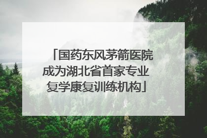 国药东风茅箭医院成为湖北省首家专业复学康复训练机构