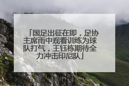 国足出征在即，足协主席雨中观看训练为球队打气，王钰栋期待全力冲击印尼队