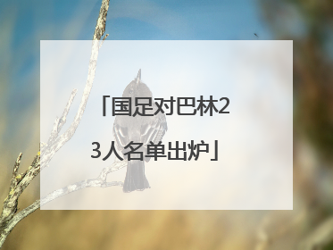国足对巴林23人名单出炉