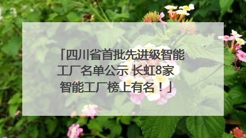 四川省首批先进级智能工厂名单公示 长虹8家智能工厂榜上有名！