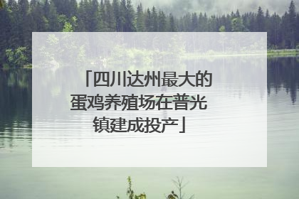 四川达州最大的蛋鸡养殖场在普光镇建成投产