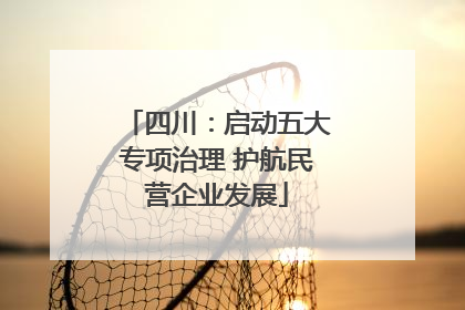 四川：启动五大专项治理 护航民营企业发展