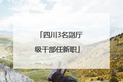 四川3名副厅级干部任新职