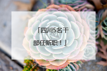 四川5名干部任新职！