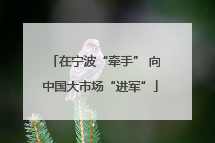 在宁波“牵手” 向中国大市场“进军”