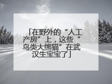 在野外的“人工产房”上，这些“鸟类大熊猫”在武汉生宝宝了