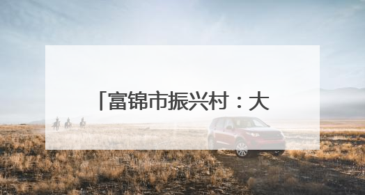 富锦市振兴村：大垄密植+全程托管走出增收新路径
