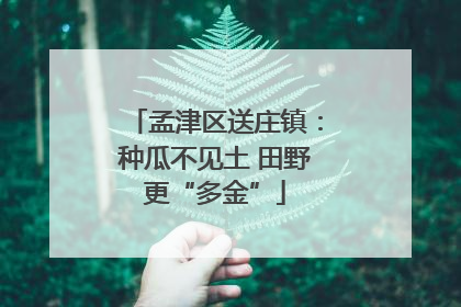 孟津区送庄镇：种瓜不见土 田野更“多金”