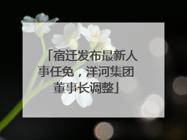 宿迁发布最新人事任免，洋河集团董事长调整