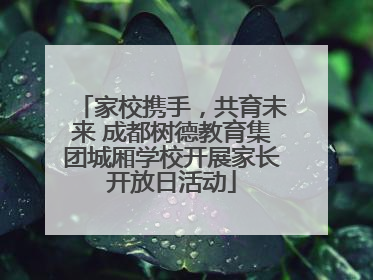 家校携手，共育未来 成都树德教育集团城厢学校开展家长开放日活动