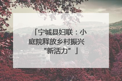 宁城县妇联：小庭院释放乡村振兴“新活力”