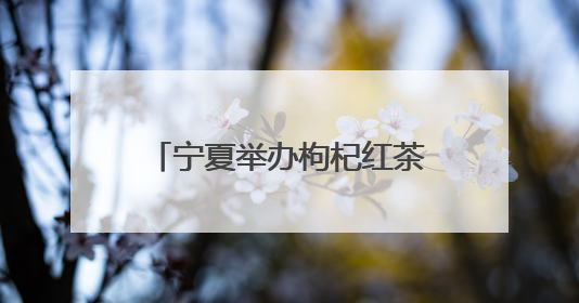 宁夏举办枸杞红茶高质量发展大会