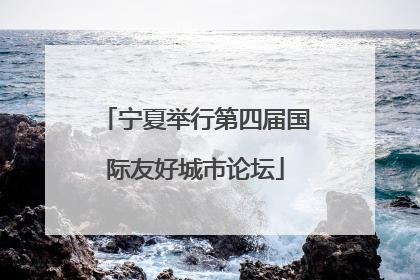 宁夏举行第四届国际友好城市论坛