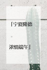 宁夏隆德 浓情端午