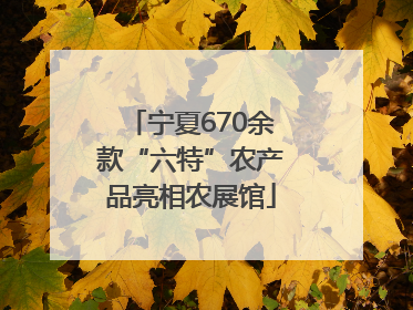 宁夏670余款“六特”农产品亮相农展馆