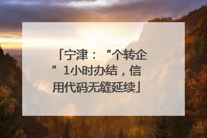 宁津：“个转企”1小时办结，信用代码无缝延续