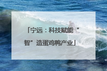 宁远：科技赋能“智”造蛋鸡鸭产业