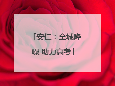 安仁：全城降噪 助力高考