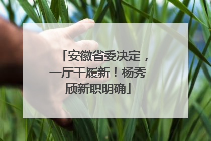 安徽省委决定，一厅干履新！杨秀颀新职明确