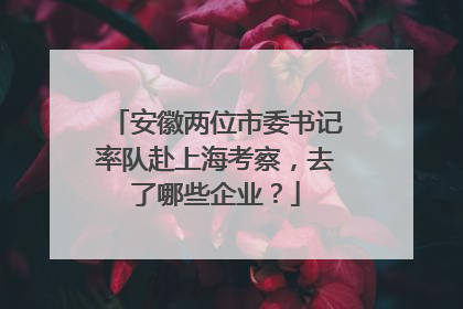 安徽两位市委书记率队赴上海考察，去了哪些企业？