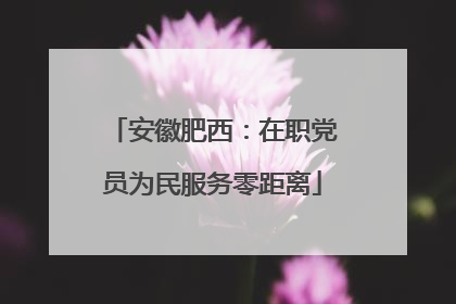 安徽肥西：在职党员为民服务零距离