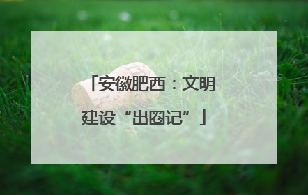 安徽肥西：文明建设“出圈记”