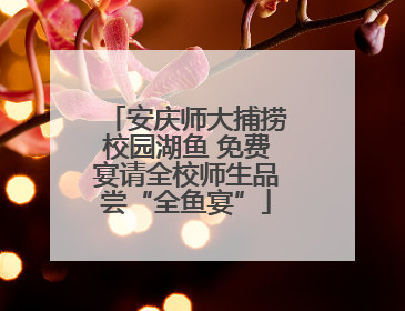 安庆师大捕捞校园湖鱼 免费宴请全校师生品尝“全鱼宴”