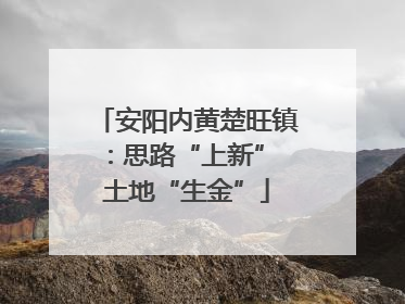 安阳内黄楚旺镇：思路“上新” 土地“生金”