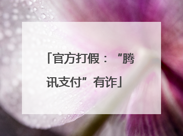 官方打假：“腾讯支付”有诈