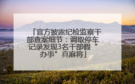 官方披露纪检监察干部查案细节：调取停车记录发现3名干部假“办事”真麻将