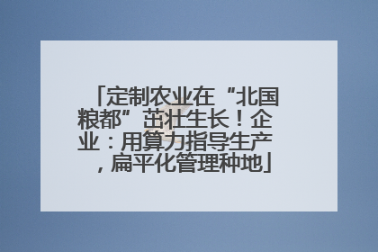 定制农业在“北国粮都”茁壮生长！企业：用算力指导生产，扁平化管理种地