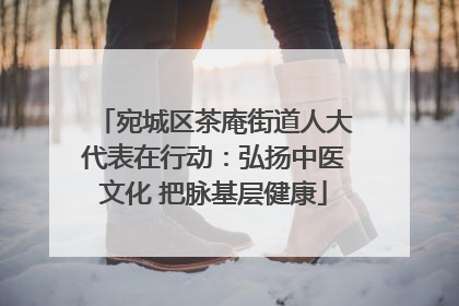 宛城区茶庵街道人大代表在行动：弘扬中医文化 把脉基层健康