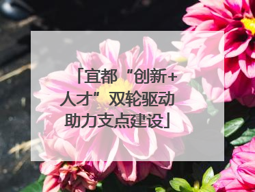 宜都“创新+人才”双轮驱动助力支点建设