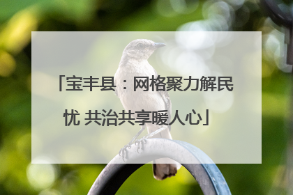 宝丰县：网格聚力解民忧 共治共享暖人心