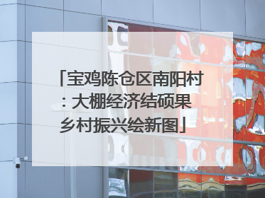 宝鸡陈仓区南阳村：大棚经济结硕果 乡村振兴绘新图