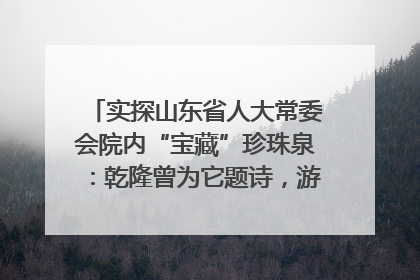 实探山东省人大常委会院内“宝藏”珍珠泉：乾隆曾为它题诗，游客无需预约免费游览