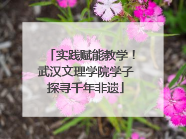 实践赋能教学！武汉文理学院学子探寻千年非遗