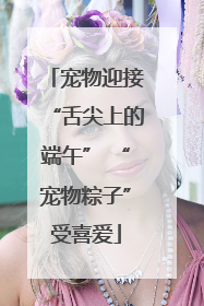 宠物迎接“舌尖上的端午” “宠物粽子”受喜爱
