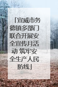 宣威市务德镇多部门联合开展安全宣传月活动 筑牢安全生产人民防线
