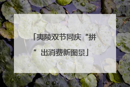 夷陵双节同庆“拼”出消费新图景