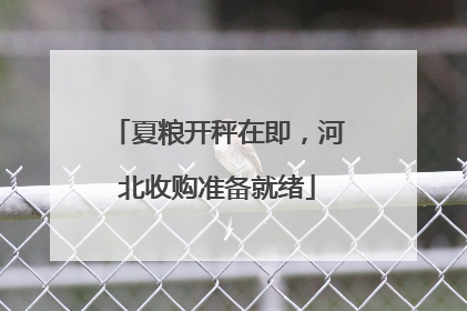 夏粮开秤在即，河北收购准备就绪