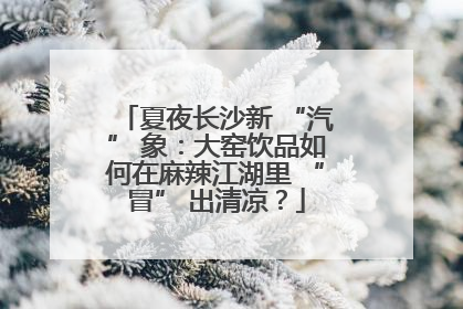 夏夜长沙新 “汽” 象：大窑饮品如何在麻辣江湖里 “冒” 出清凉？
