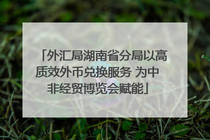 外汇局湖南省分局以高质效外币兑换服务 为中非经贸博览会赋能