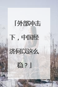 外部冲击下，中国经济何以这么稳？