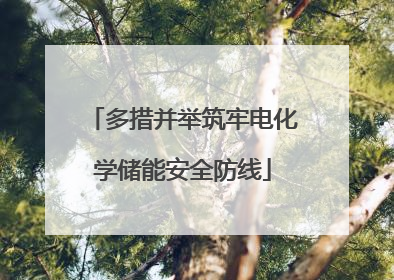 多措并举筑牢电化学储能安全防线