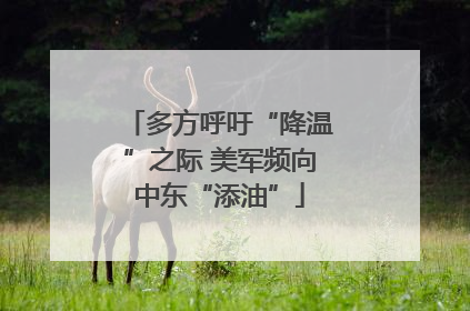 多方呼吁“降温”之际 美军频向中东“添油”