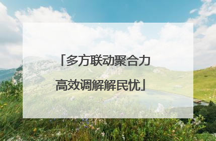 多方联动聚合力 高效调解解民忧