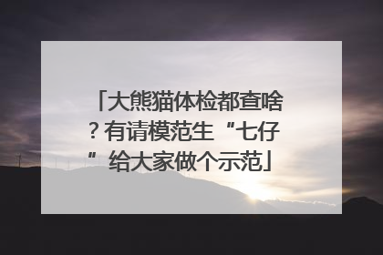 大熊猫体检都查啥？有请模范生“七仔”给大家做个示范
